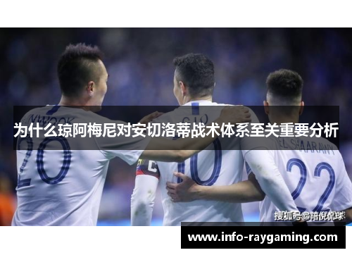 为什么琼阿梅尼对安切洛蒂战术体系至关重要分析