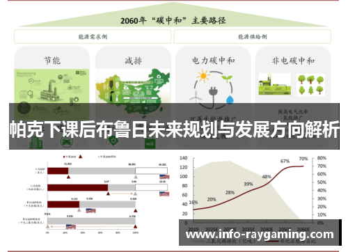 帕克下课后布鲁日未来规划与发展方向解析