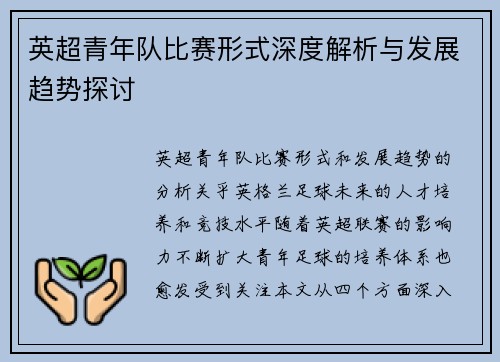 英超青年队比赛形式深度解析与发展趋势探讨